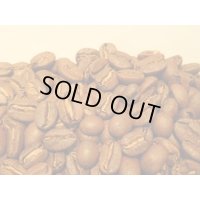 パナマ・ドンパチ・ティピカ