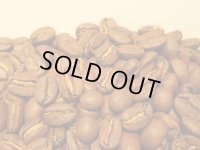 パナマ・ドンパチ・ティピカ